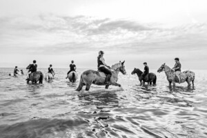 Ponies at Joss Bay
